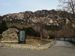 -北京凤凰岭