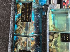 -渔码头食府(蓬莱阁店)