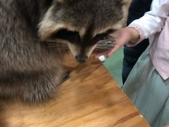 -藦茜花园宠物主题亲子互动体验馆(国顺东路店)