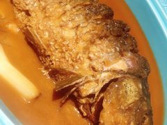 -阿五黄河大鲤鱼(纬三路店)