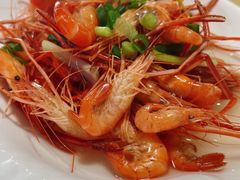 四明湖河虾-凤嫂农家乐(梁弄店)