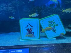-海合安成都极地海洋公园
