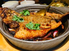 -九毛九西北菜(百信广场店)