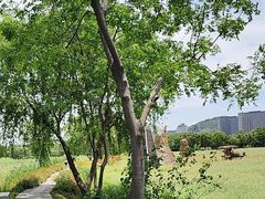 -长兴太湖图影湿地文化园