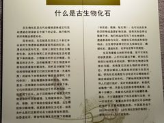 -中华赏石园