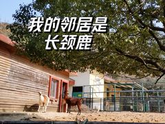 -无锡动物园·太湖欢乐园
