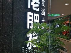 -佬肥猫(周浦万达店)