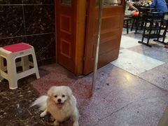 -星鸿社重庆老火锅(燃灯寺分店)