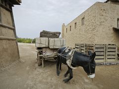 -镇北堡西部影城