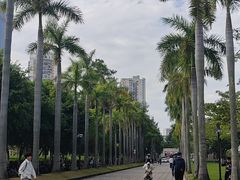 -厦门大学(思明校区)