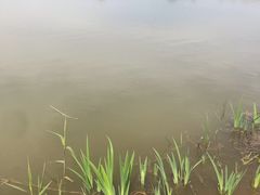 -巢湖姥山岛