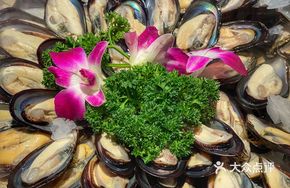 Premium Seafood