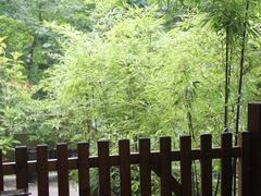 -中国茶叶博物馆(双峰馆区)