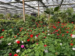 -南宫五洲植物乐园