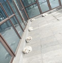 -Oasis Beauty水磨坊科技美肤中心