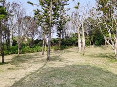 -牛岗山公园