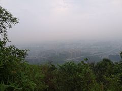 -杭州半山国家森林公园