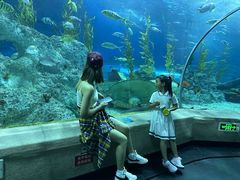 -芜湖新华联大白鲸海洋公园