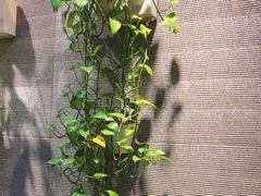 -东兴楼饭庄(六里桥店)