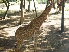-卡塞拉自然公园
