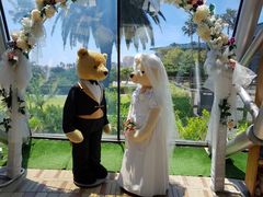 -济州岛泰迪熊博物馆