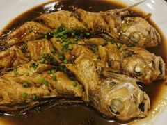 -福建美食城(老君堂店)