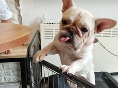 -平行世界·猫咖(首经贸店)