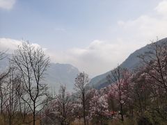 -九皇山景区