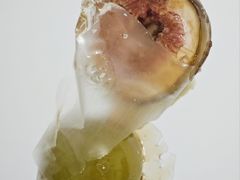 -盒马鲜生(红莲店)