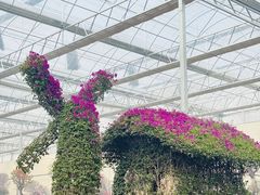 -沂蒙云瀑洞天景区