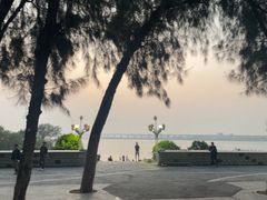 -宝安西湾红树林湿地公园