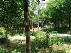 -东郊湿地公园
