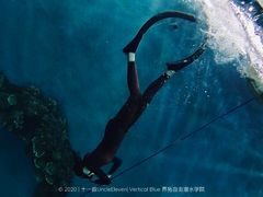 -苏州海洋馆