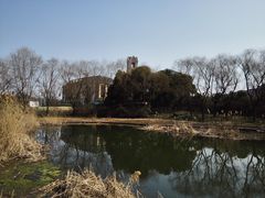 -新江湾城公园