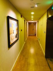 -海豚湾高端月子会所(黄浦店)