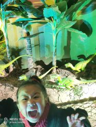 -恐龙探索乐园(磁器口店)