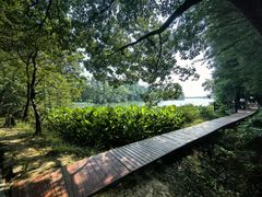 -东湖落雁景区