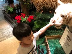 与白虎共餐-白虎自助餐厅·真老虎·景观自助餐厅(广州长隆酒店)