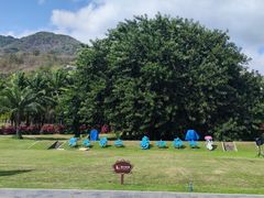 -三亚南山文化旅游区