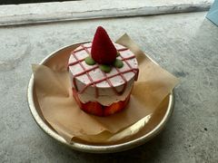 -野草莓自由市场