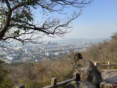 -灵岩山风景区