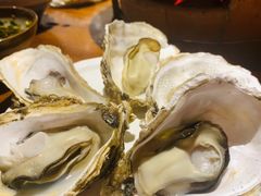 生蚝-海煮叹鲜·粥底火锅·港式海鲜打边炉(赛银国际广场店)