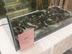 -阿胖龙虾小海鲜(宁国南路总店)