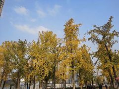 -百林公园-两江幸福广场