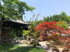 -穆老九清真牛羊肉馆(宋城店)