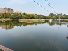 -前关湿地公园