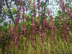 -郑州方特梦幻王国