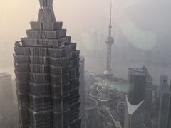 -The lounge 柏悦酒店大堂酒廊(上海环球金融中心店)