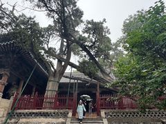 -晋祠公园