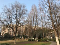 -环城公园-琥珀潭